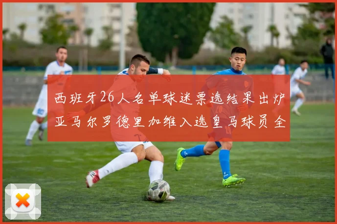 西班牙26人名单球迷票选结果出炉亚马尔罗德里加维入选皇马球员全无